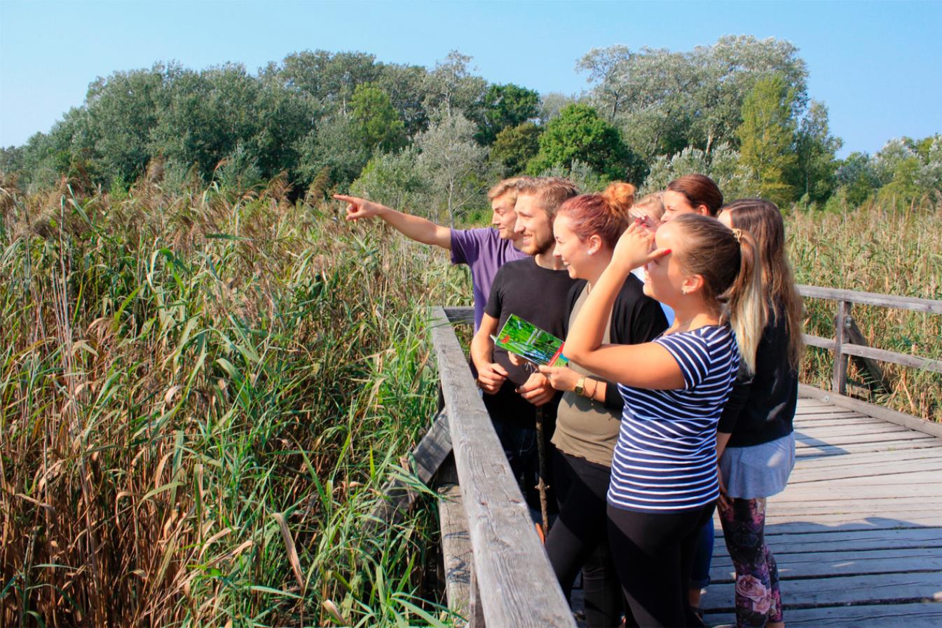 Kindergarten, Schule, Hort, Oma & Opa, Familien