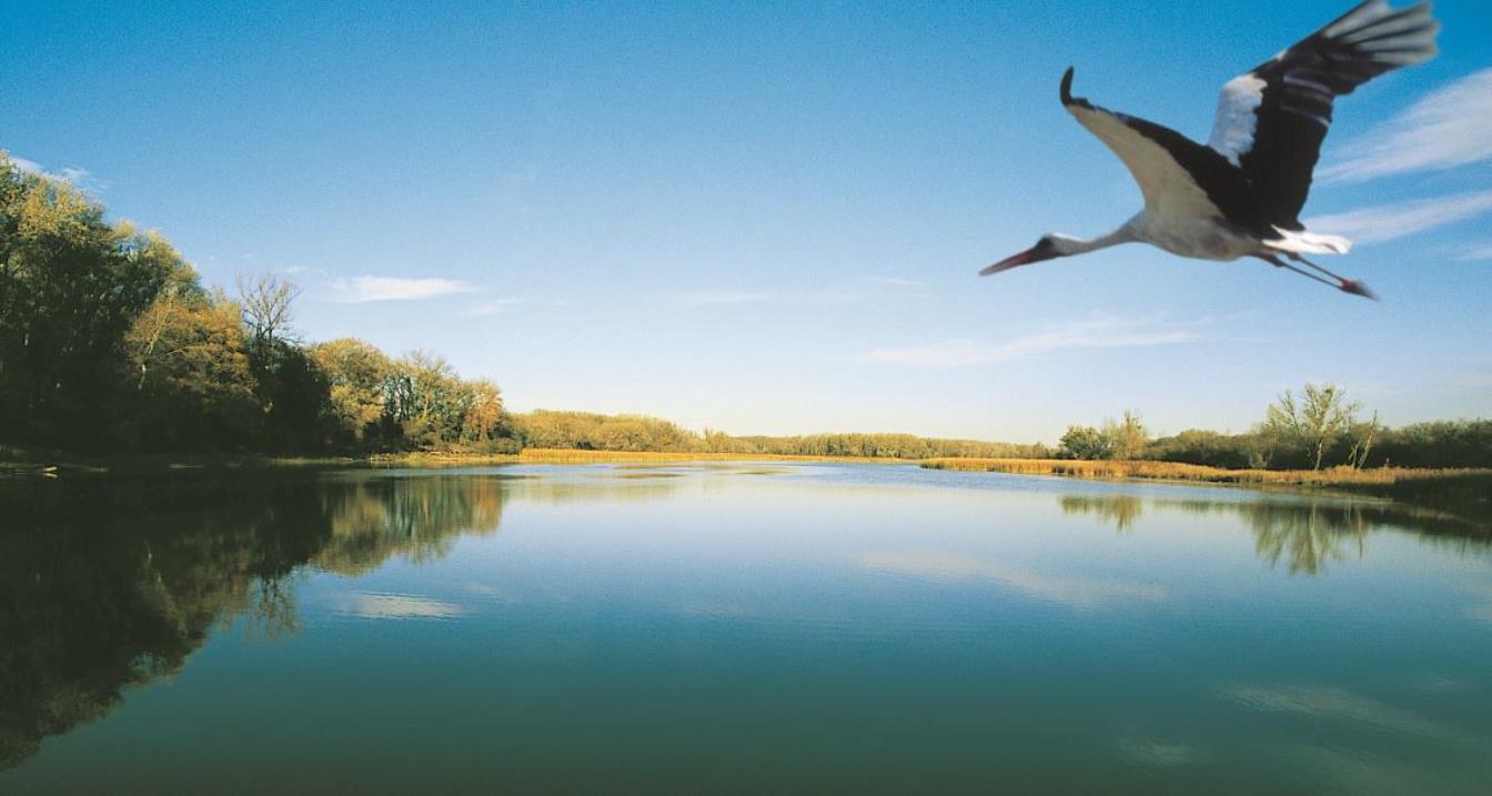 Kindergarten, Schule, Hort