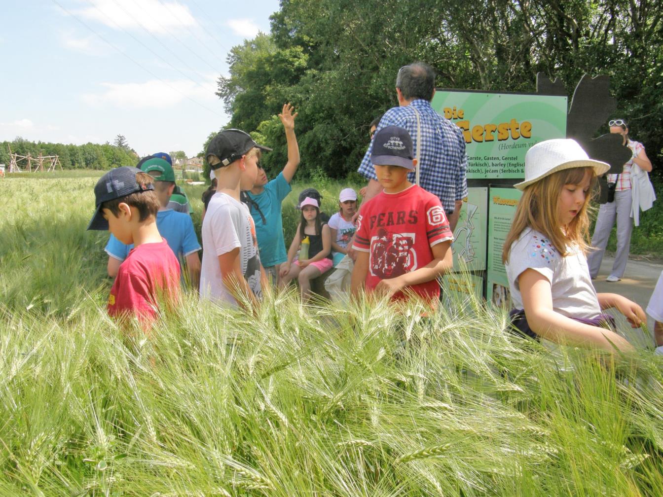 Kindergarten, Schule, Hort, Oma & Opa, Familien