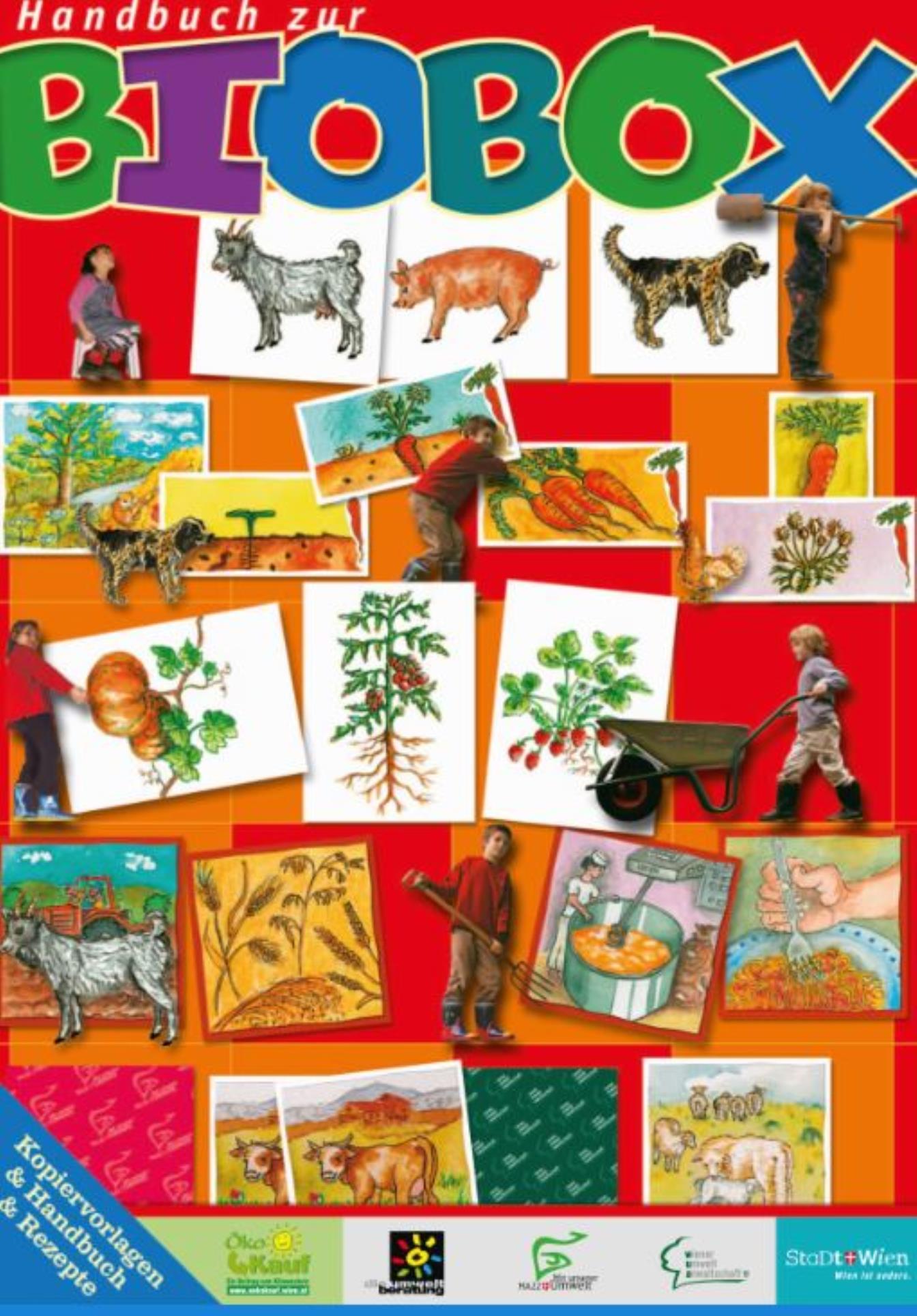  Kindergarten, Volksschule