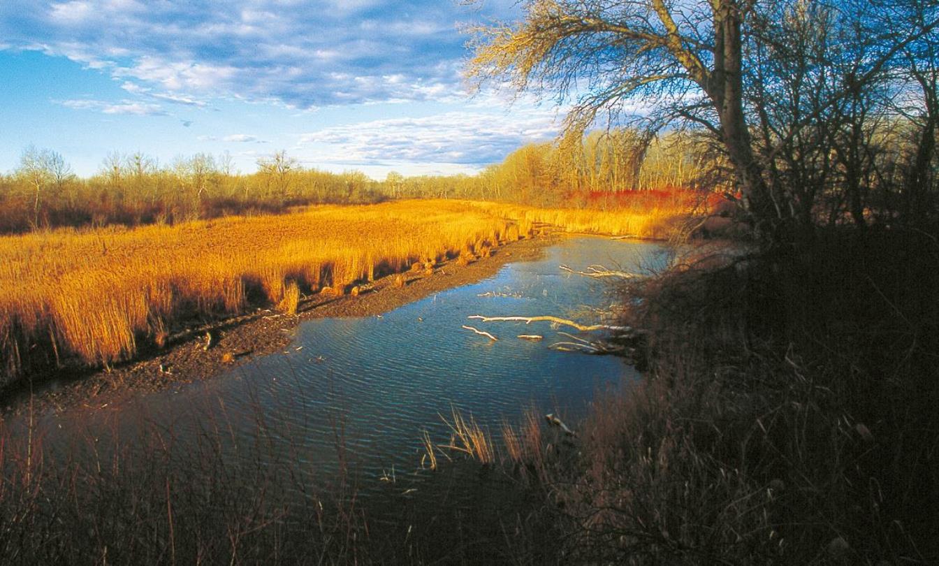 Kindergarten, Schule, Hort, Oma & Opa, Familien