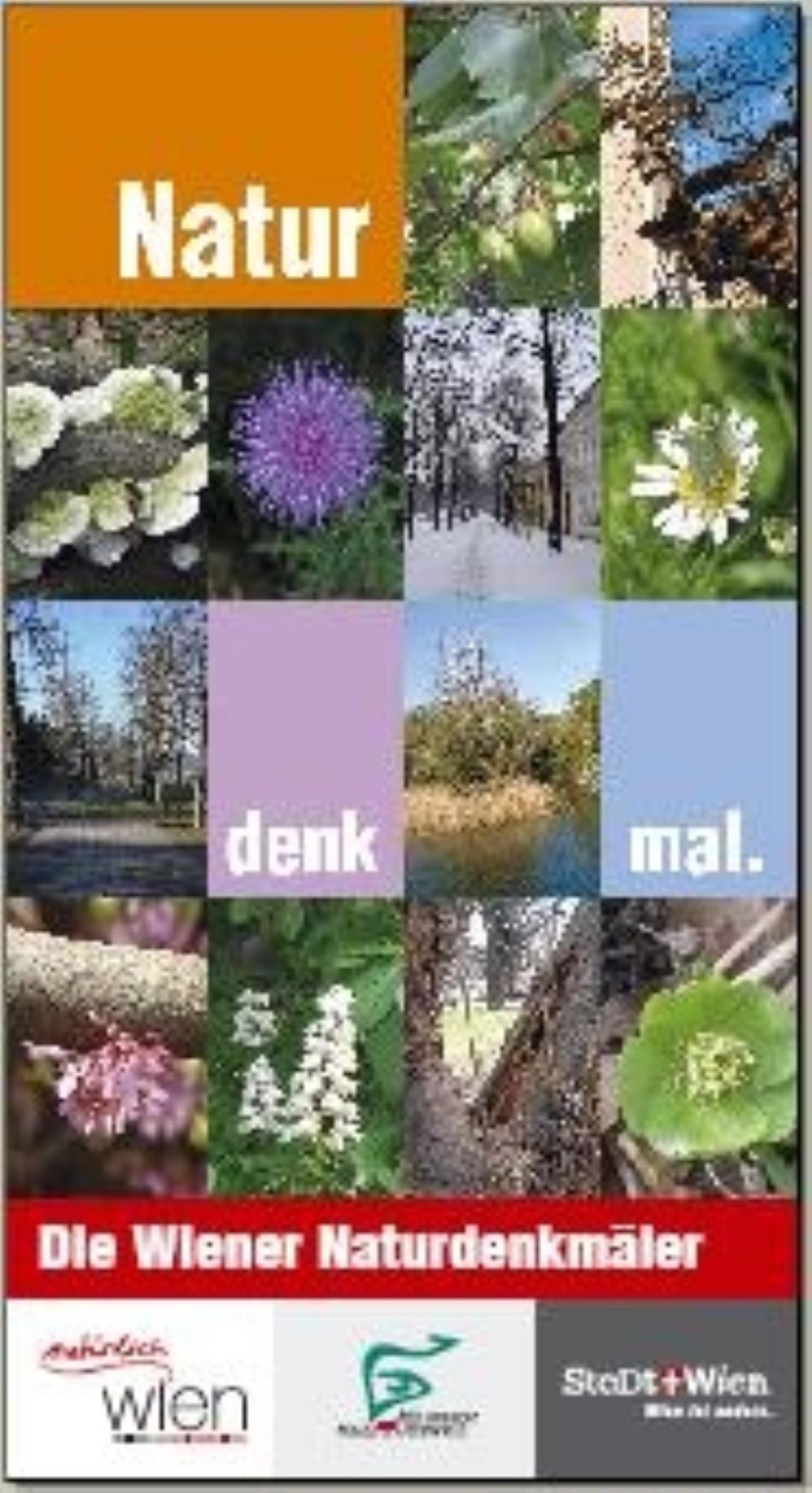 Unterstufe, Oma & Opa, Familien