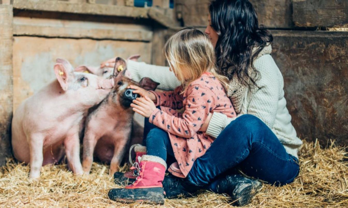 Kindergarten, Schule, Hort, Oma & Opa, Familien