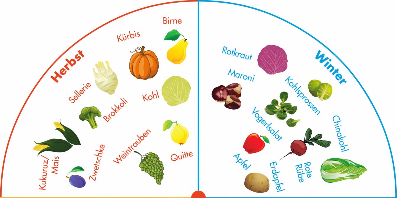 ab der 6. Schulstufe