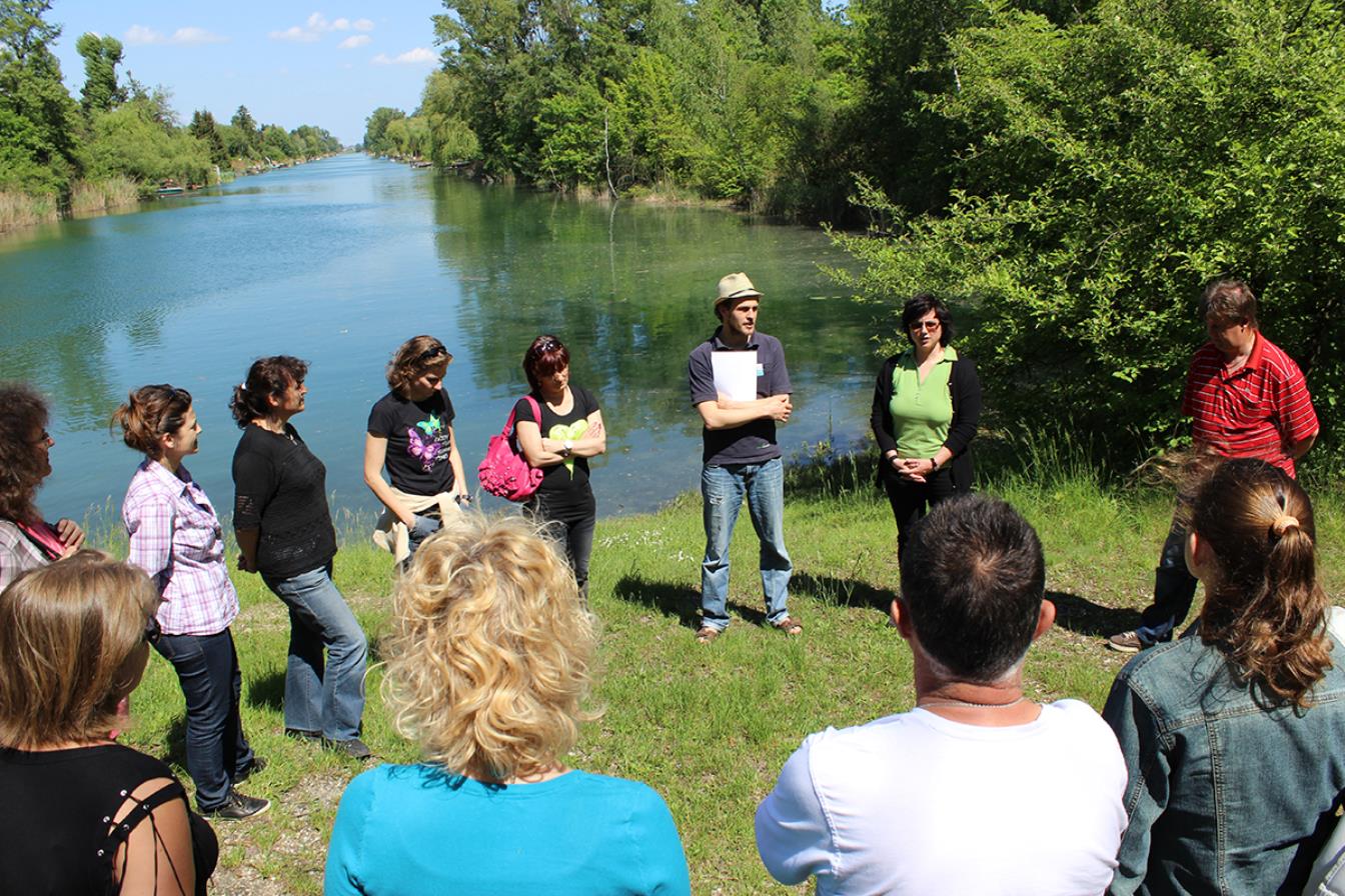 KindergartenpädagogInnen, LehrerInnen an VS, NMS und AHS