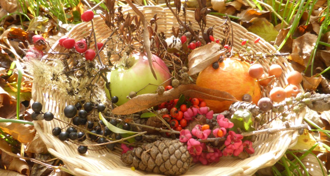 LehrerInnen der 1. - 6. Schulstufe  