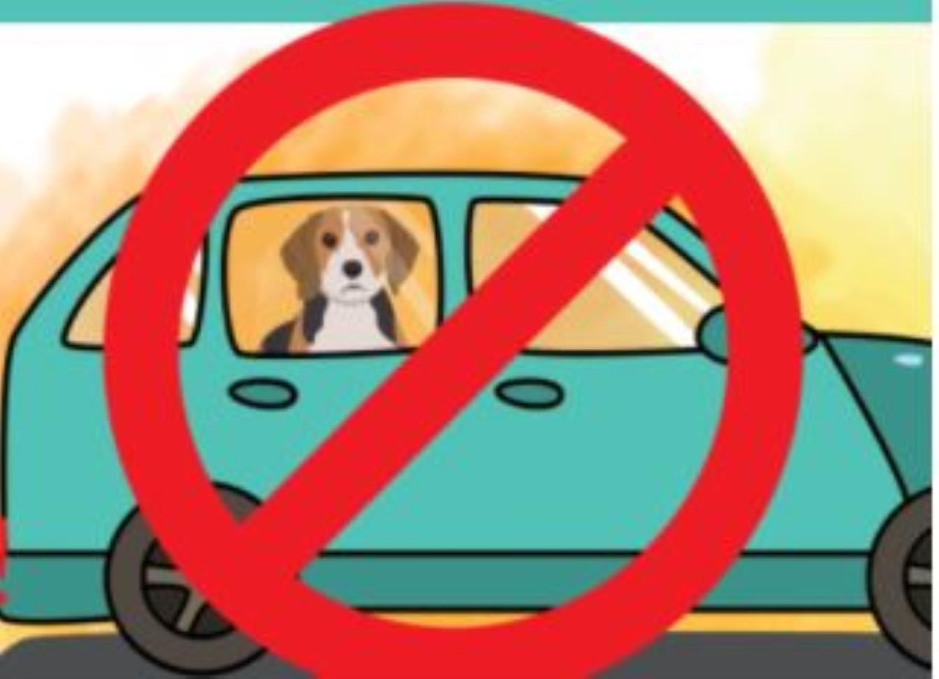 Familien, Oma+Opa, HundebesitzerInnen