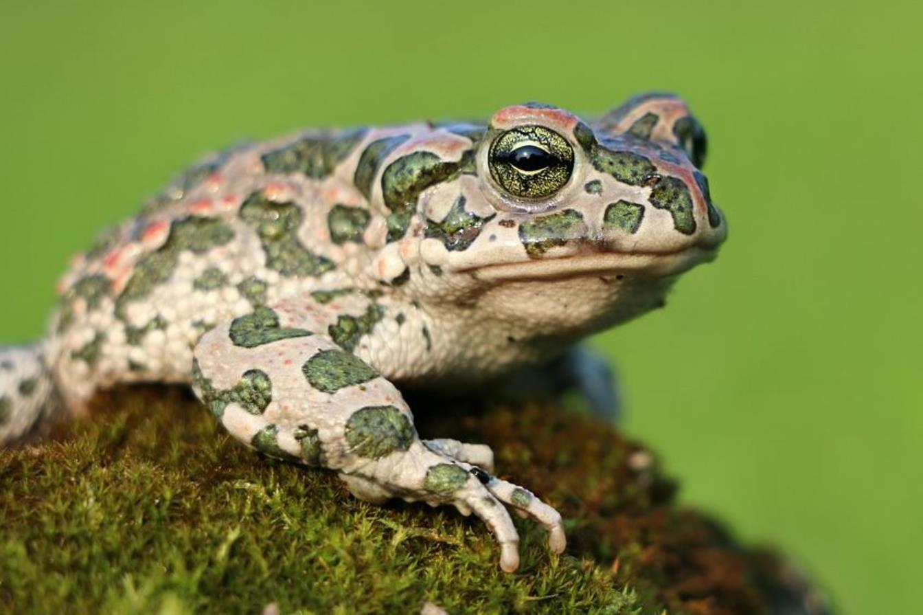 Kinder von 6 bis 10 Jahren, Volksschule