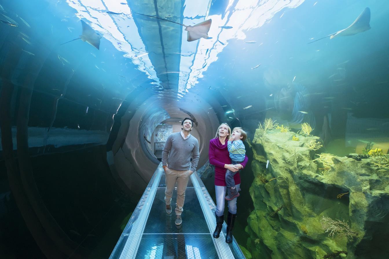 Montag und Dienstag gratis