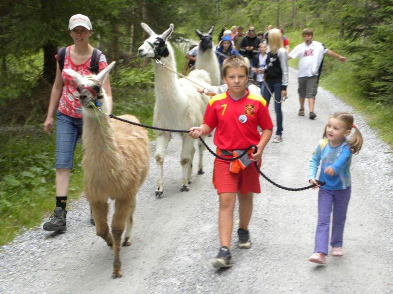 - 10% auf Touren aber auch Hotel Spengerwirt
