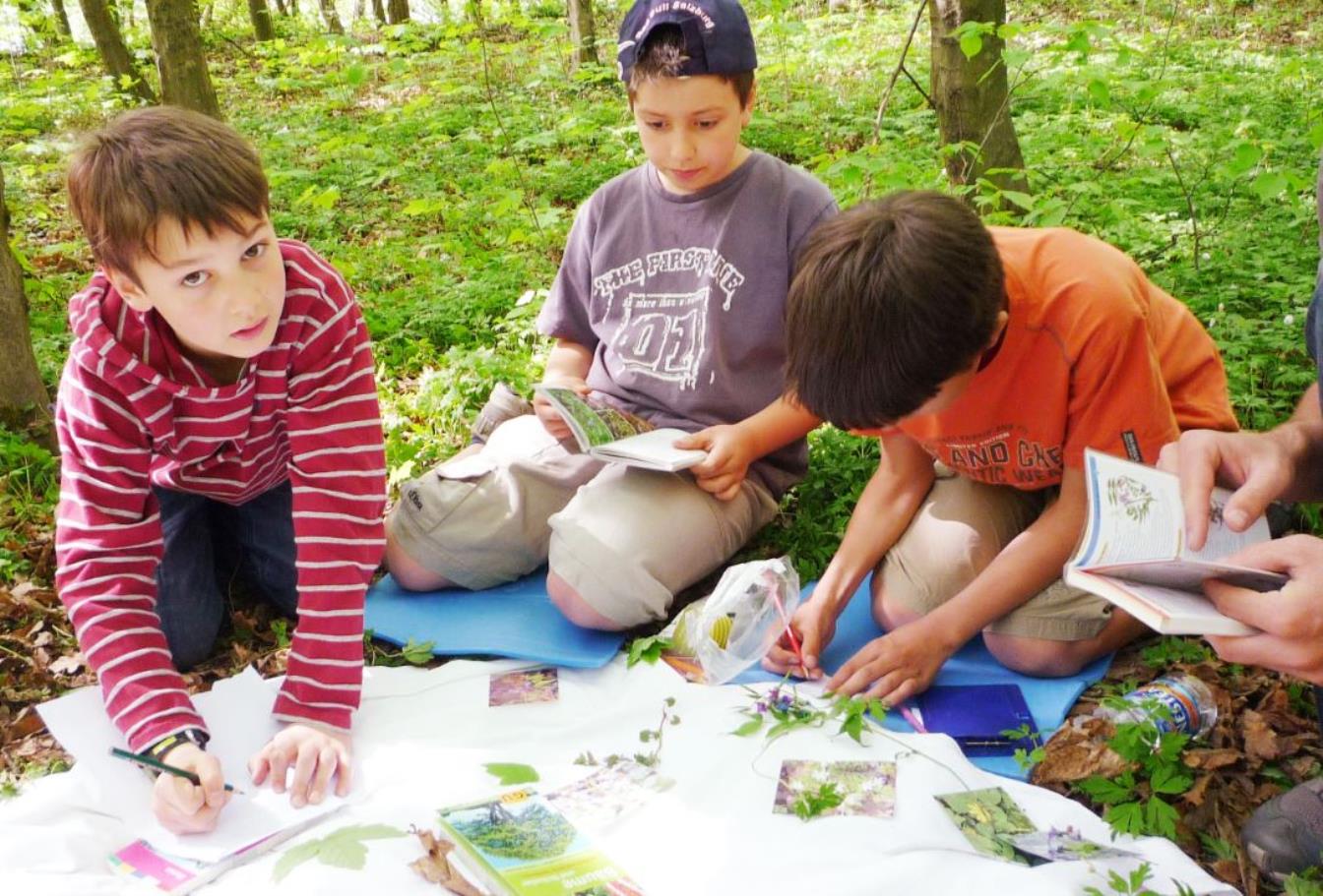 Kindergarten, Schule, Hort