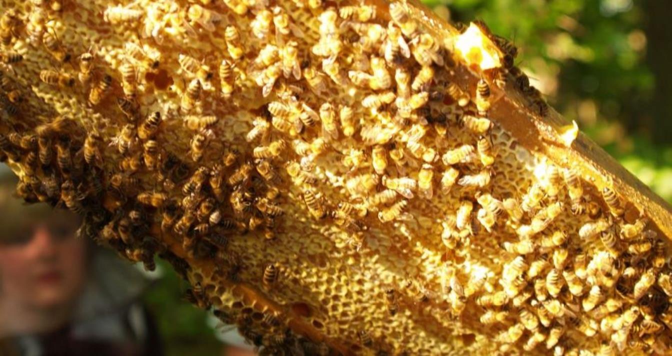 Kindergarten, Schule, Hort