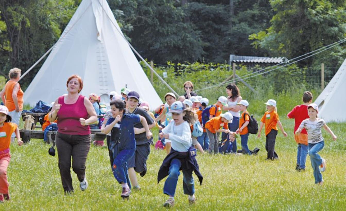 Kindergarten, Volksschule